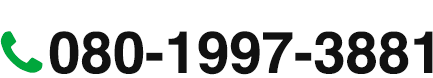 080-1997-3881